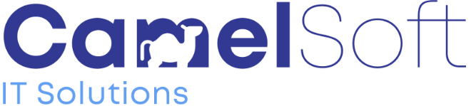 CAMELSOFT LLC